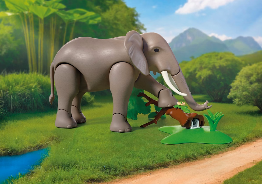 Elefante con guardiano dello zoo