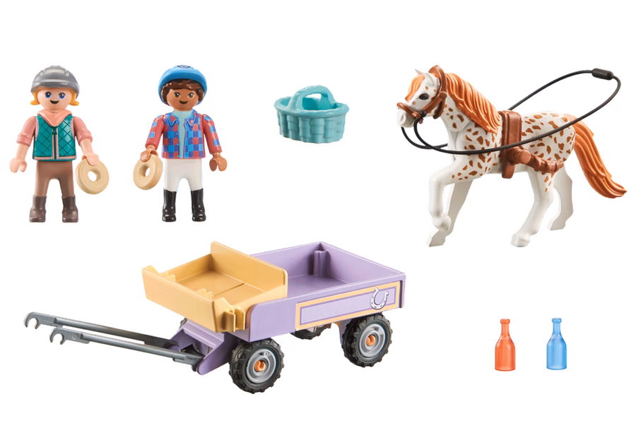 Carrozza trainata da pony