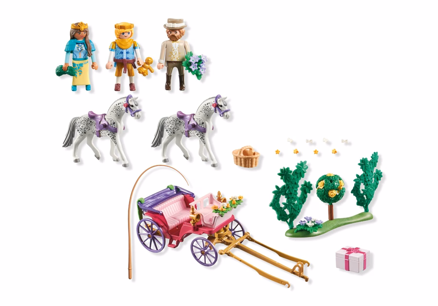 Giro in carrozza